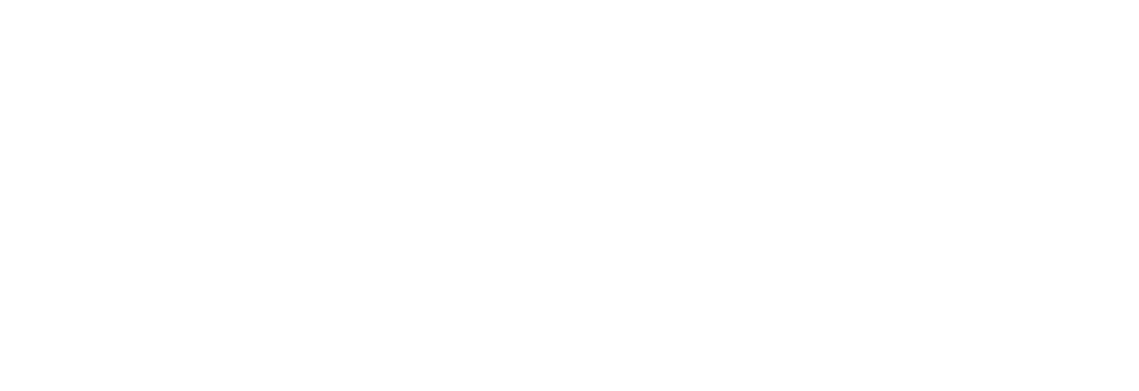 BRINA