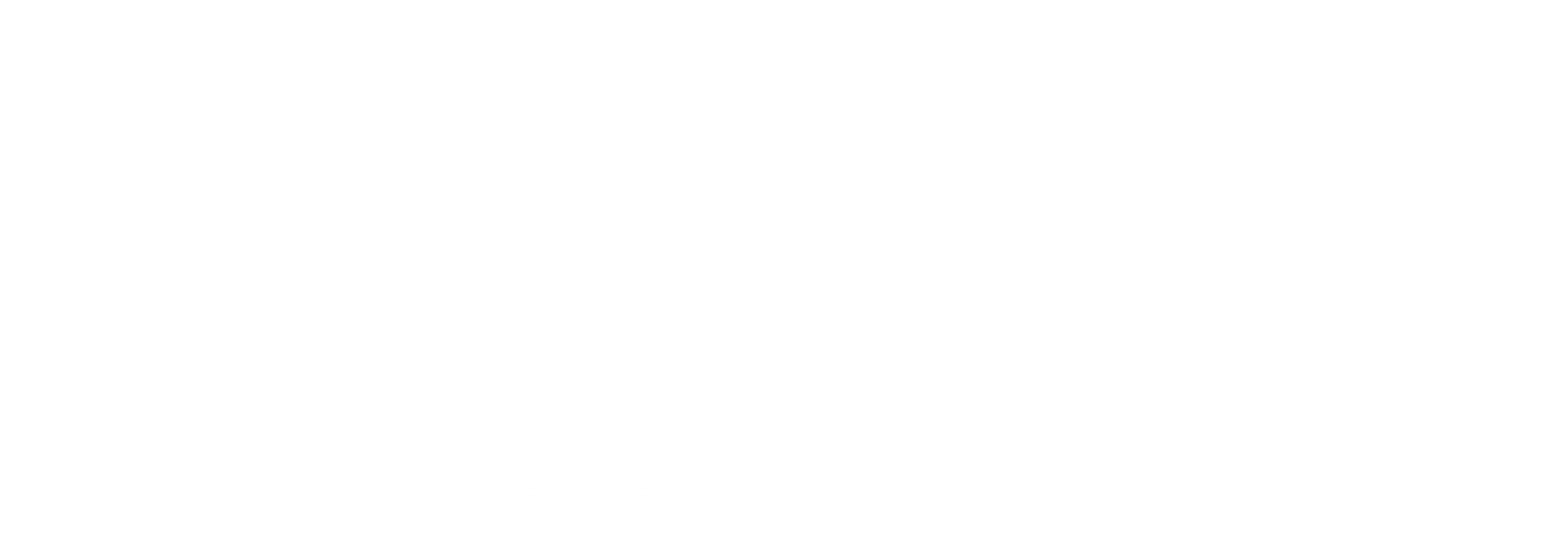 VELMION